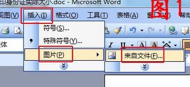 怎么把身份證掃描到一張紙上？身份證正反面在同一張紙上打印的方法