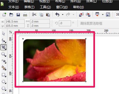 cdr裁剪工具怎么用？cdr軟件中裁剪工具使用方法