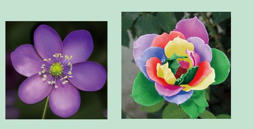 Photoshop橫排文字蒙版工具怎么用？ps橫排文字蒙版工具用法