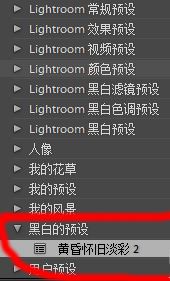 lr預設怎么導入？教你導入lr預設的詳細操作方法