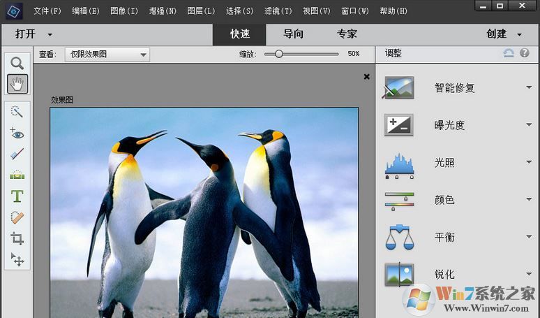 Adobe Photoshop Elements 2019綠色精簡(jiǎn)版(無(wú)需激活免費(fèi)用)