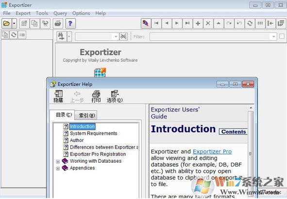 Exportizer漢化版_Exportizer(數(shù)據(jù)庫(kù)導(dǎo)出工具) v8.0.4綠色版