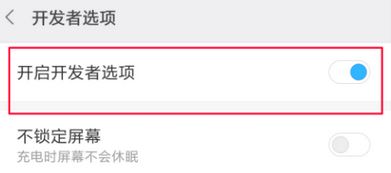 紅米u(yù)sb調(diào)試在哪？教你紅米USB調(diào)試開啟方法