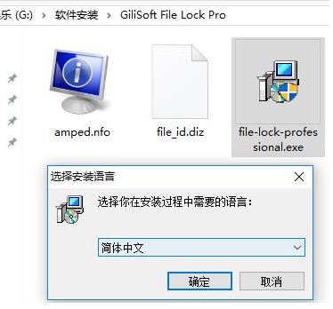 數(shù)據(jù)加密 GiliSoft File Lock Pro v11.3.0漢化破解版