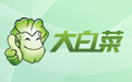 大白菜U盤(pán)裝系統(tǒng)制作工具