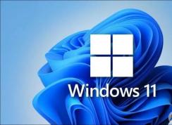 Win11家庭版和專業(yè)版有什么區(qū)別？Win11家庭版和專業(yè)版哪個(gè)好用？