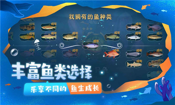 一只魚(yú)聯(lián)機(jī)