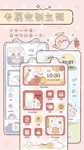 鯨魚小組件最新破解版