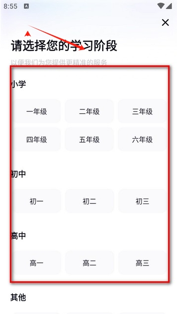 有道小P