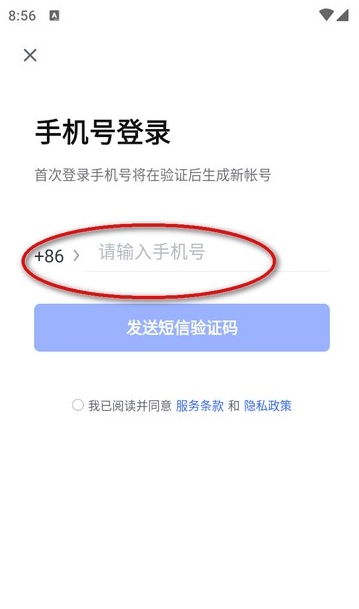 有道小P