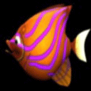 大魚吃小魚(Big Fish Eat Small Fish)