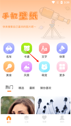 主題盒
